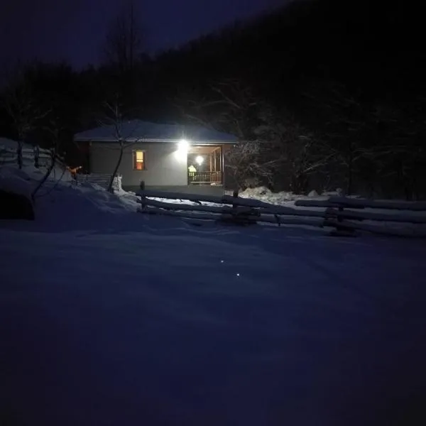 Vila Idila, hotel in Crni Vrh