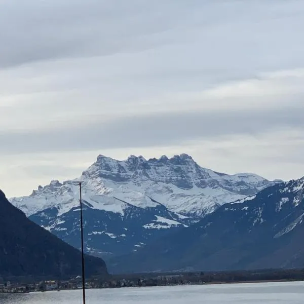 TOP Montreux Centre 2-8 p., view lake and Chillon Castle, hotel v destinaci Montreux