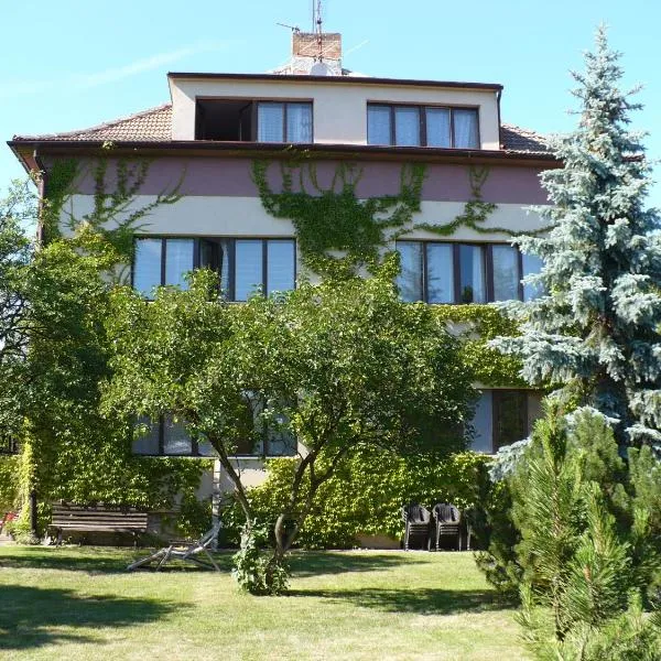 Penzion Sport, hotel v destinaci Třeboň