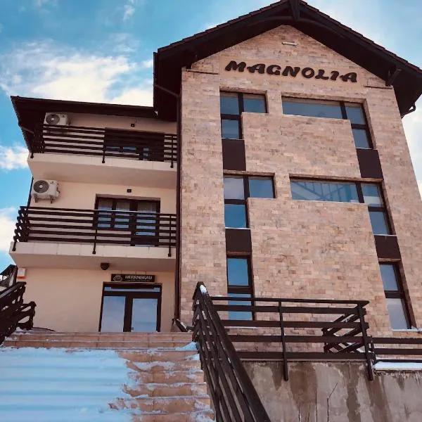Pensiunea Magnolia, hotel a Craiova