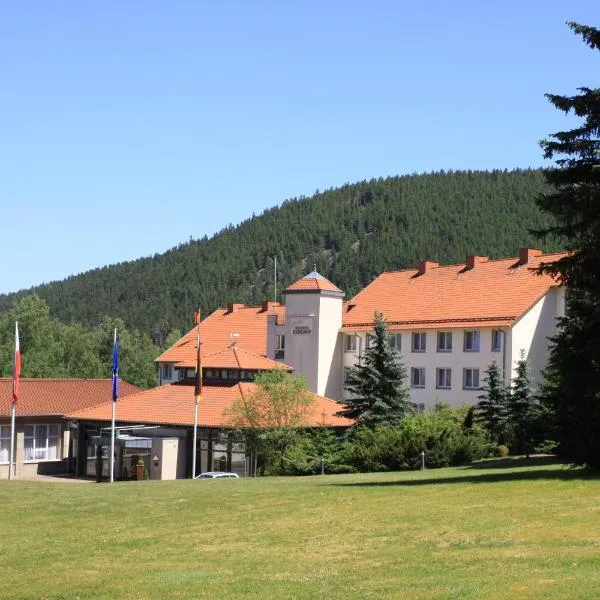 Waldhotel Berghof Thüringer Wald, hotel a Luisenthal