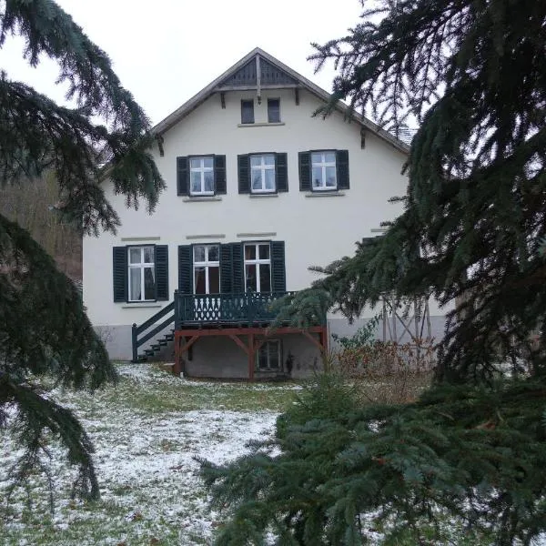 Pension Gräfliche Villa, hotel v destinaci Reitwein