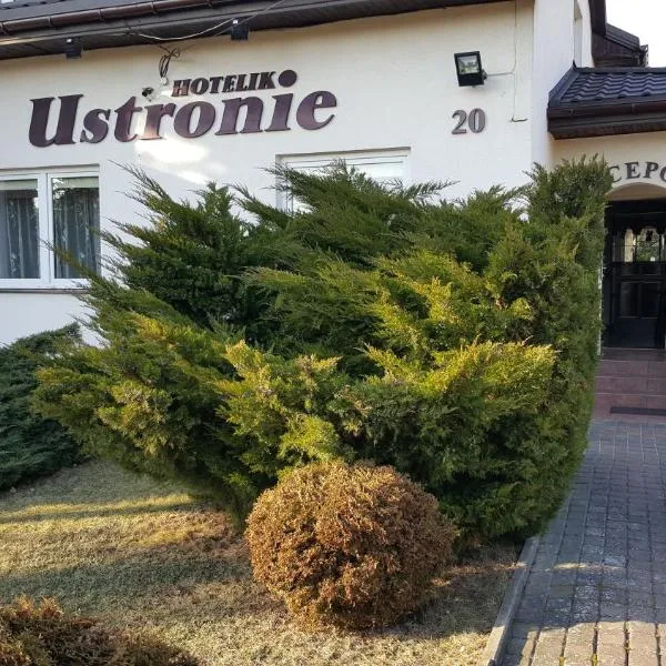 USTRONIE, hotel in Cyprianów