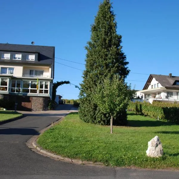 Ferienweingut-Liebfried, hotel in Nehren