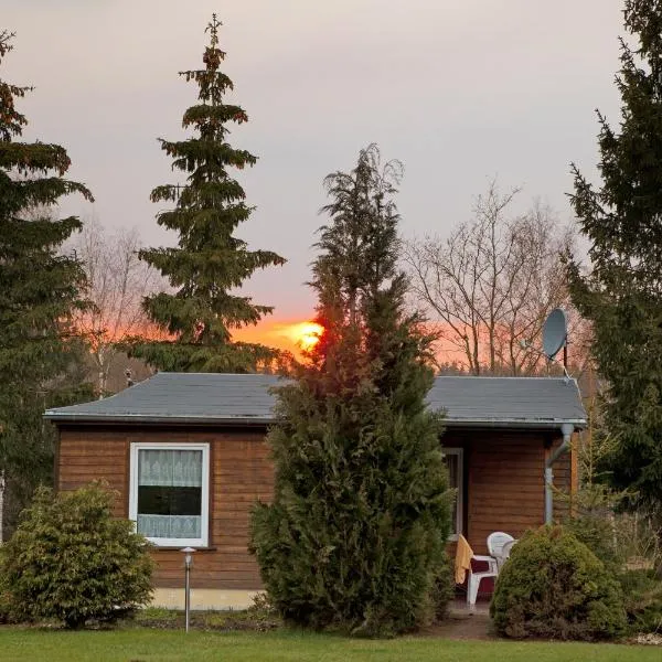 Hotel Waldoase Hirschbüchenkopf, hotel a Güntersberge