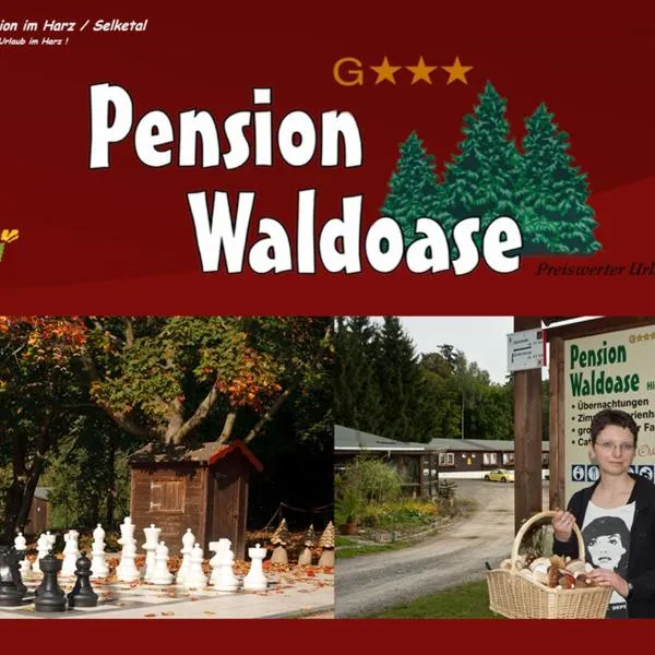 Hotel Waldoase Hirschbüchenkopf, hotel v destinaci Güntersberge