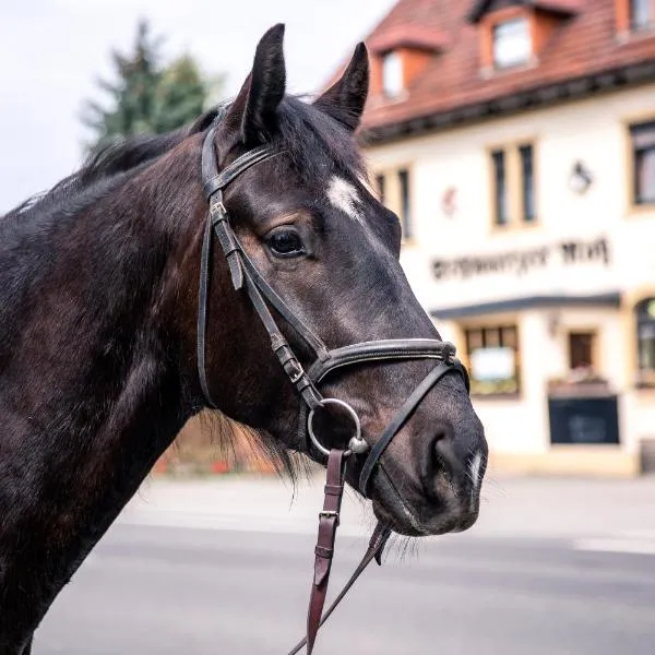 Schwarzes Ross, hótel í Arnsdorf