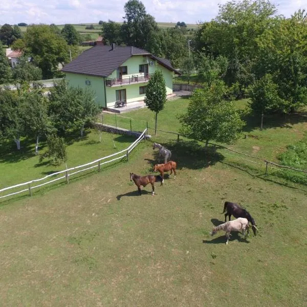 Green apartment Plitvice, готель у місті Раковица