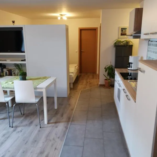 modernes Appartement Schwarzwald Nähe Freiburg, hotel v destinaci Winden im Elztal