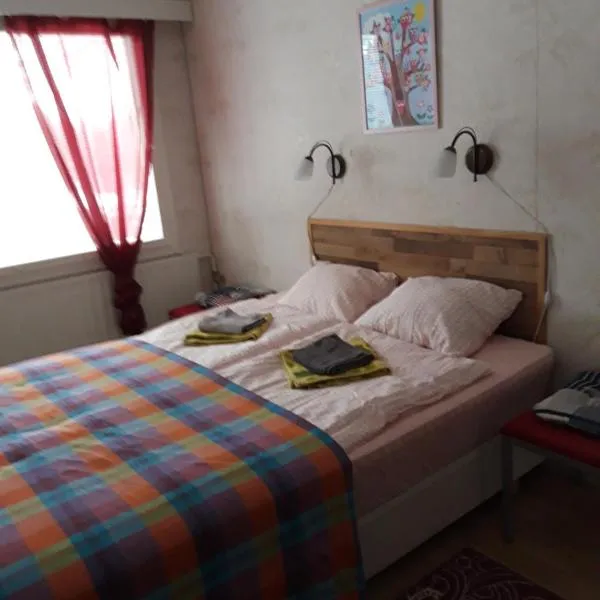 Mini-Mani Northern House, hotel em Sorsakoski