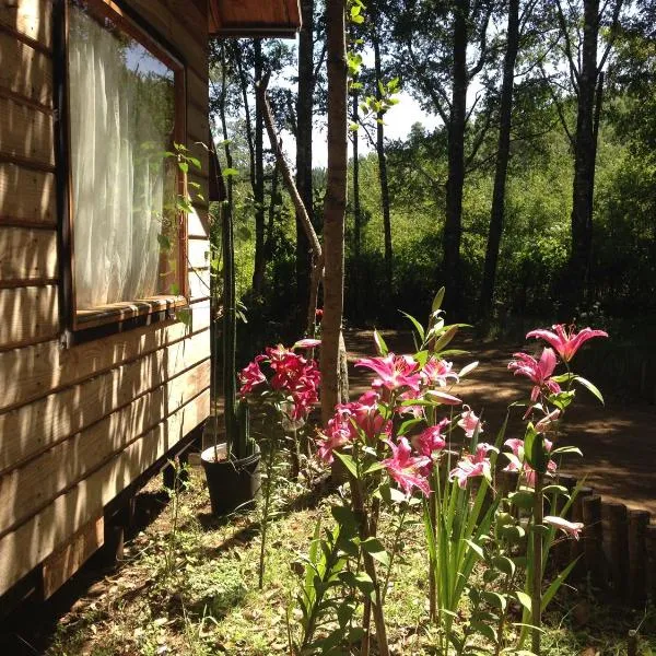 Eco-Cabañas Quetroleufu, hotell i Caburgua