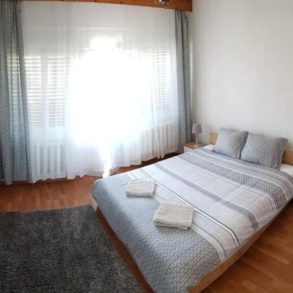 Premium Central Apartment、オラデアのホテル