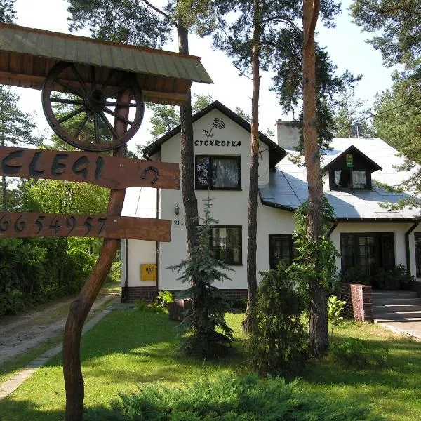 Stokrotka, hotel in Susiec