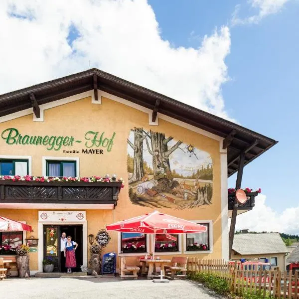 Braunegger-Hof Gasthof Mayer, hotel v destinaci Braunegg