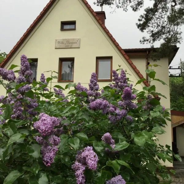 Willa Danusia, hotel Błoniében