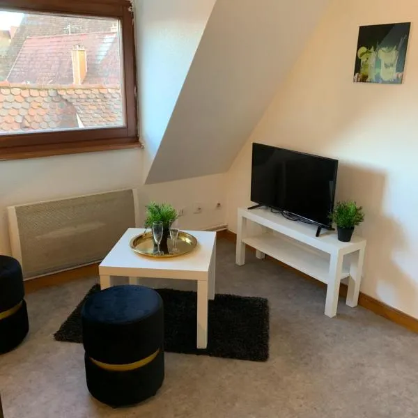 Studio à Ribeauvillé, hotel v destinaci Ribeauvillé