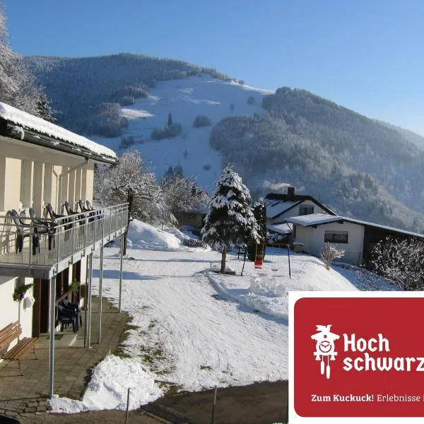 Steiert Panorama Apartments Todtnau, מלון בטודנאו