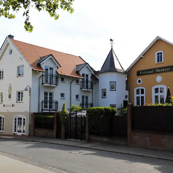 Hotel Frankenbach, hotel in Eltville