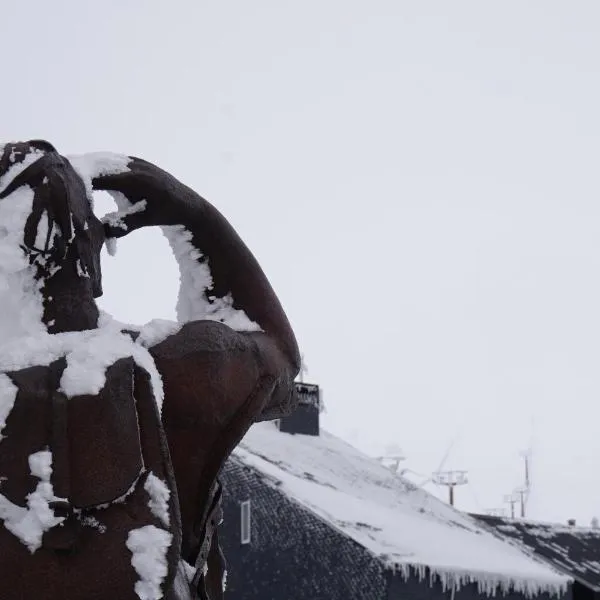 세르세디야에 위치한 호텔 Loft Puerto de Navacerrada