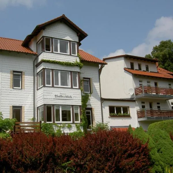 Pension Waldesblick, hotel em Friedrichroda