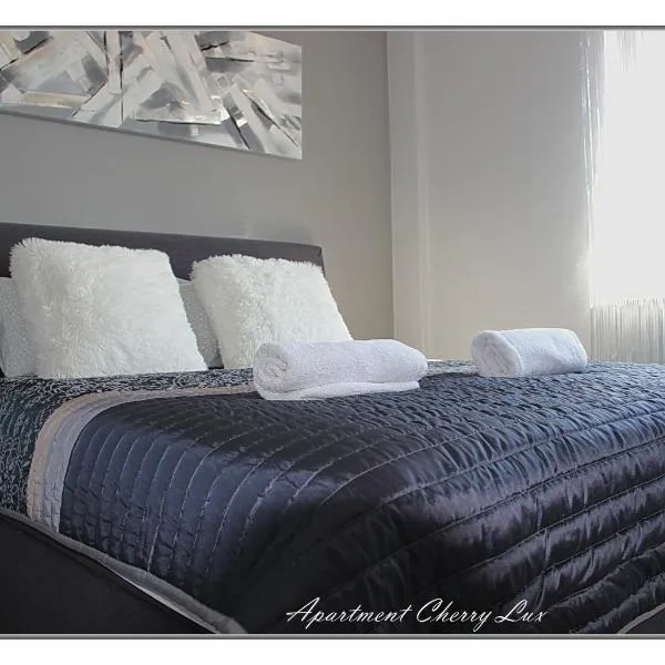 Apartment Cherry Lux, hotel v destinaci Zrenjanin