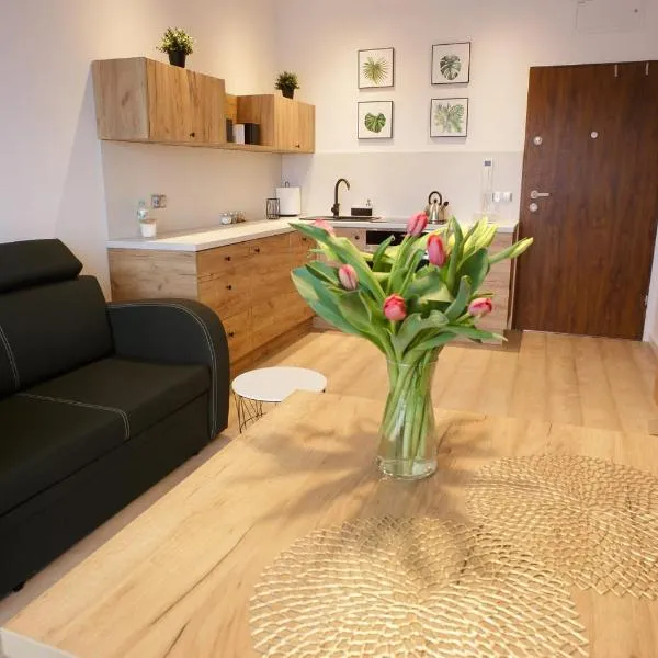 Apartament na Piernikowym z miejscem postojowym, hotel in Toruń