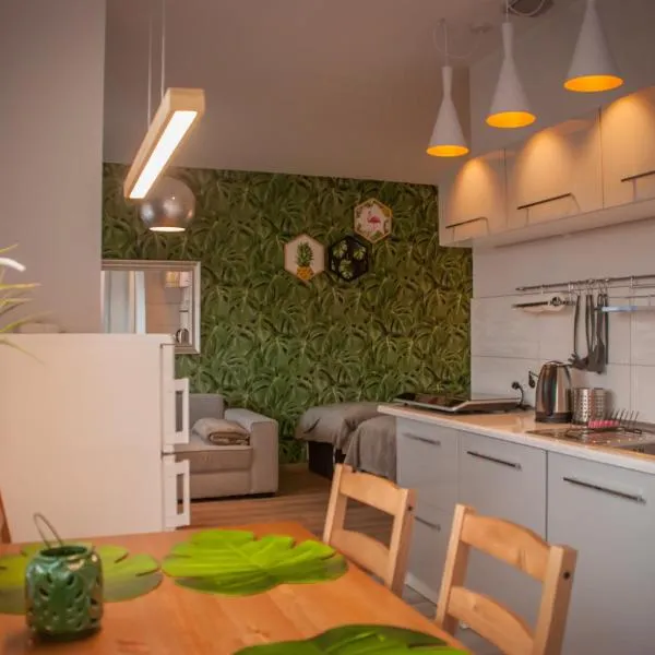 Noclegi "Boczna 5a" Apartamenty gościnne, khách sạn ở Szczawno-Zdrój