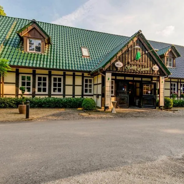 Waldhotel Schipp-Hummert, hotel em Hembergen