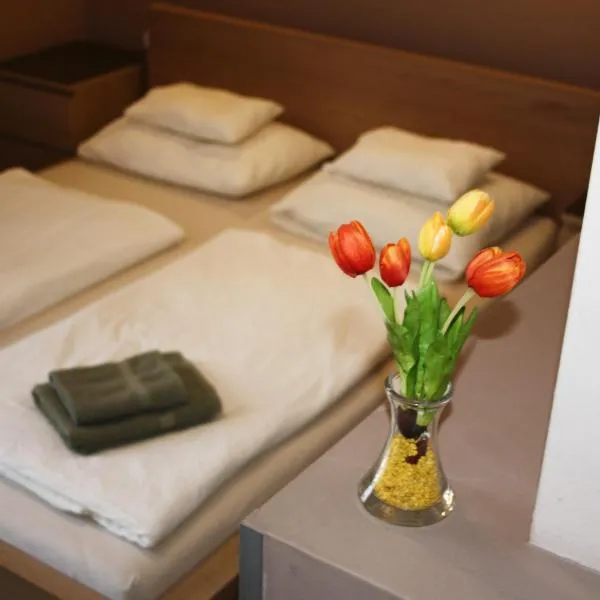 Polus Pension, hotell sihtkohas Sopron