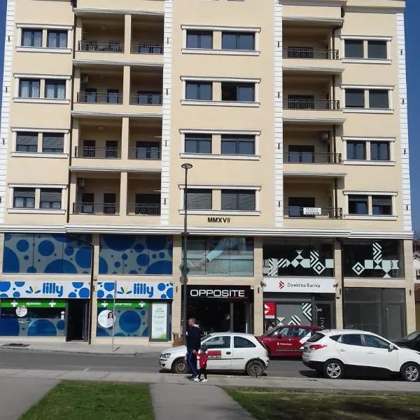 Premium 2 apartments, hotel in Arandelovac