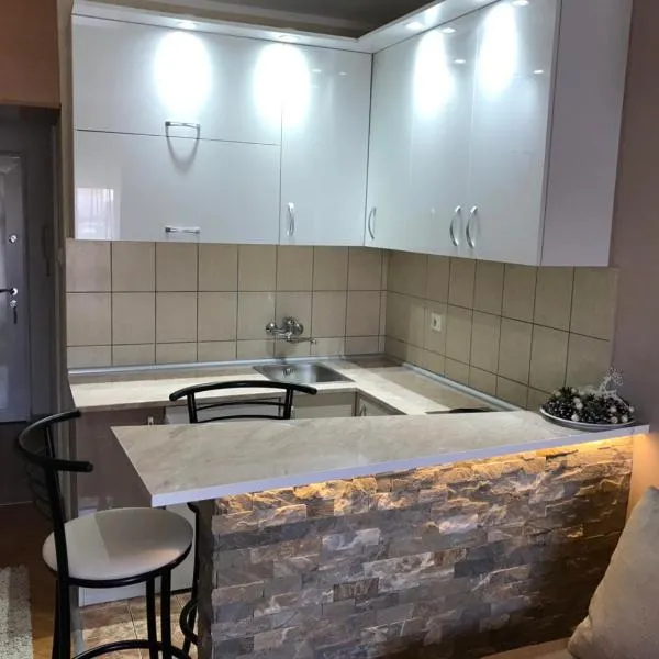 Studio Nina, hotel in Novi Sad