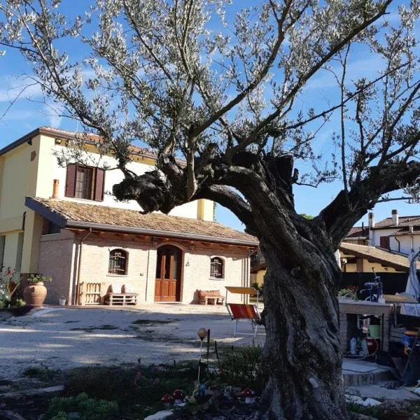 Il Focolare B&B, Hotel in Casa Ottani