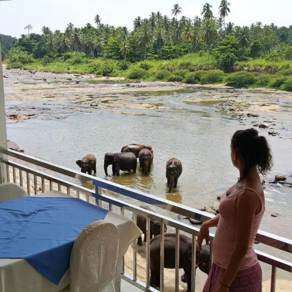 Hotel Pinnalanda, hotel di Kegalle