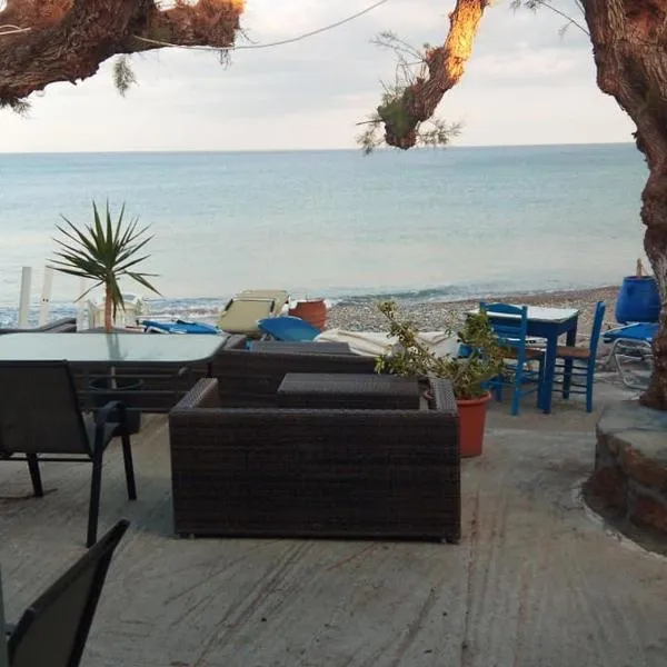 Beachfront Apartment Kato Zakros, hotel in Káto Zákros