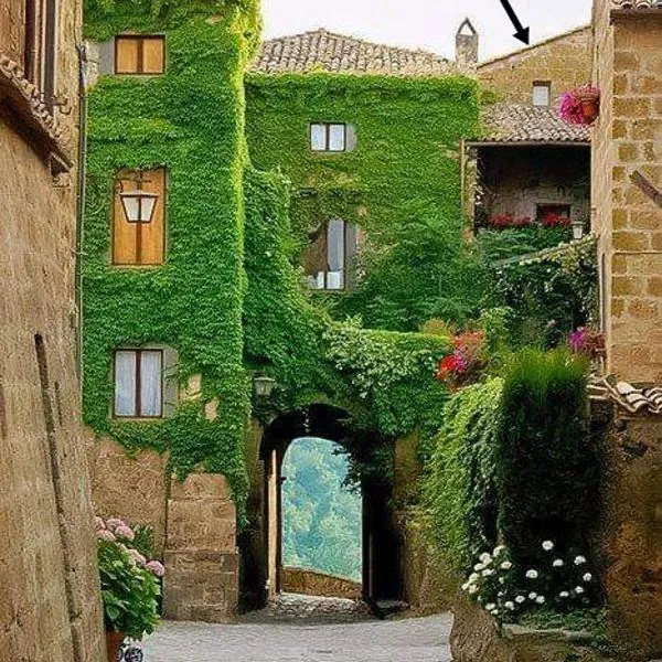Gerani Rossi, hotel in Civita di Bagnoregio