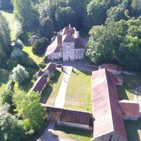 Chateau de Vesset, hotel in Montaigu-le-Blin