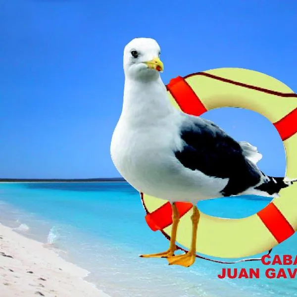 Cabañas Juan Gaviota, hotel em Chañaral de Aceituna