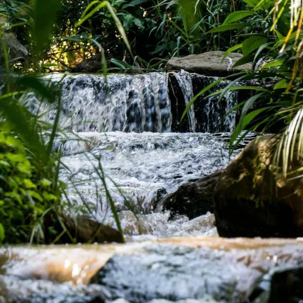 Africa's Eden Guesthouse, hotel v mestu Pietermaritzburg