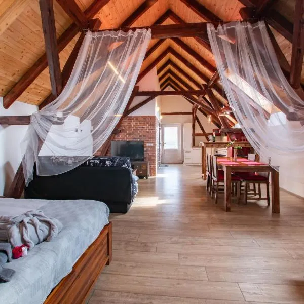 Penzion Na barokní cestě Wellness & Spa, hotel v destinaci Plasy
