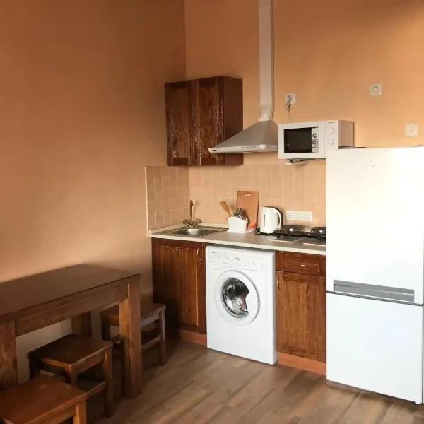Two-floor apartments and studio 2-х этажные апартаменты и студия в самом центре, hotel in Kharkiv