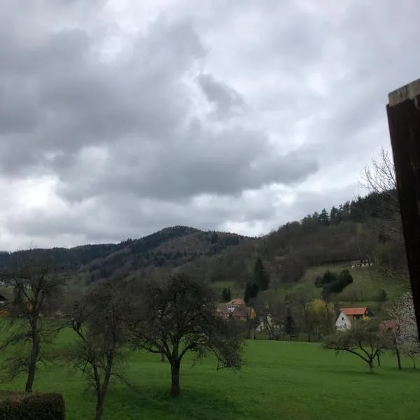 Petit week end dans la vallée, hotelli Breitenbach-Haut-Rhinissä