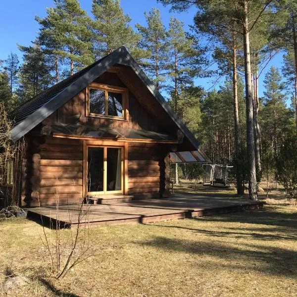 Pootsmani maja, hotel v destinaci Paatsalu