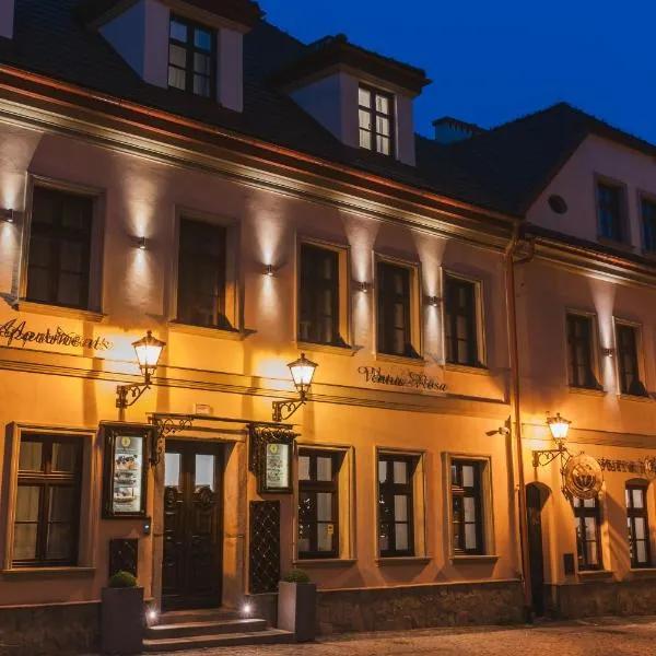 Hotel & Apartments Ventus Rosa, hotel v destinácii Bielsko-Biala