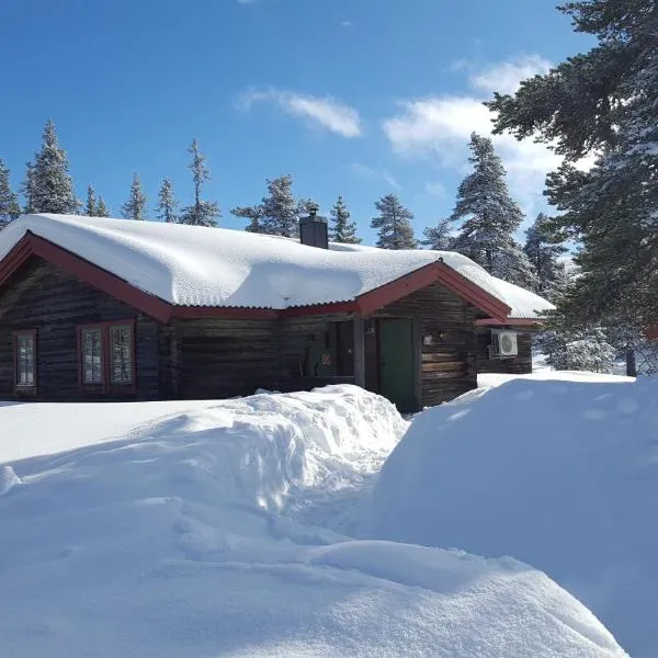 Sälens Bed & Breakfast Apartments, hotel v destinaci Sälen