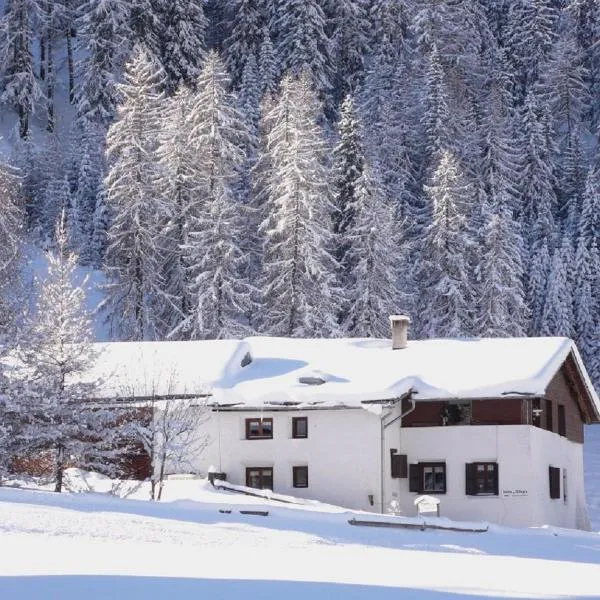 Fuldera Daint chasa Zanoli Whg im zweiten Stock, Hotel in Fuldera