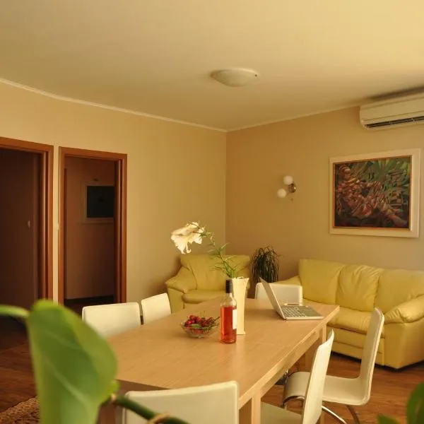 Rado Apartments, ξενοδοχείο σε Bistriza