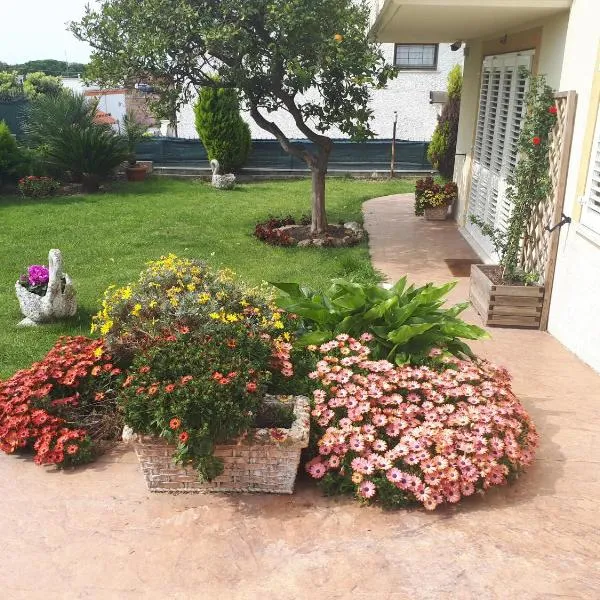 Bed and Breakfast Angolo Fiorito، فندق في تشيفيتافيكيا