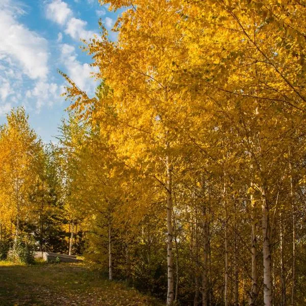 Alpen Ville, hotel di Almaty