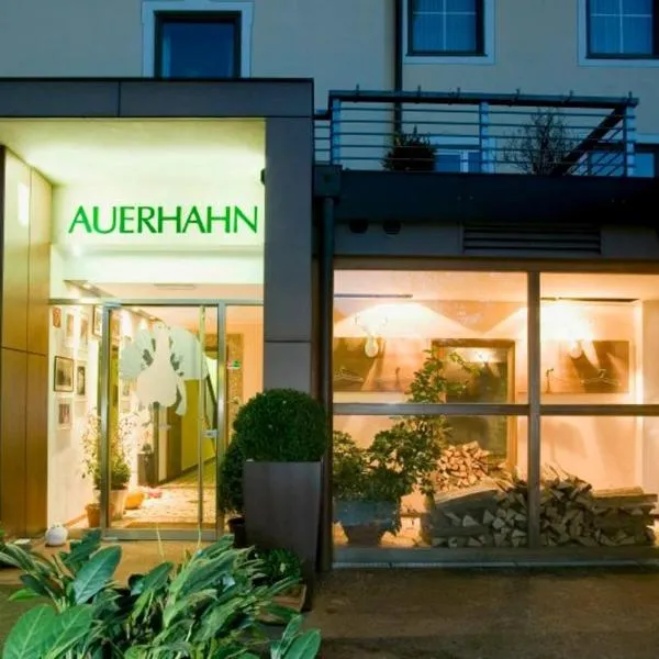Hotel Restaurant Auerhahn, hotel v Salcburku