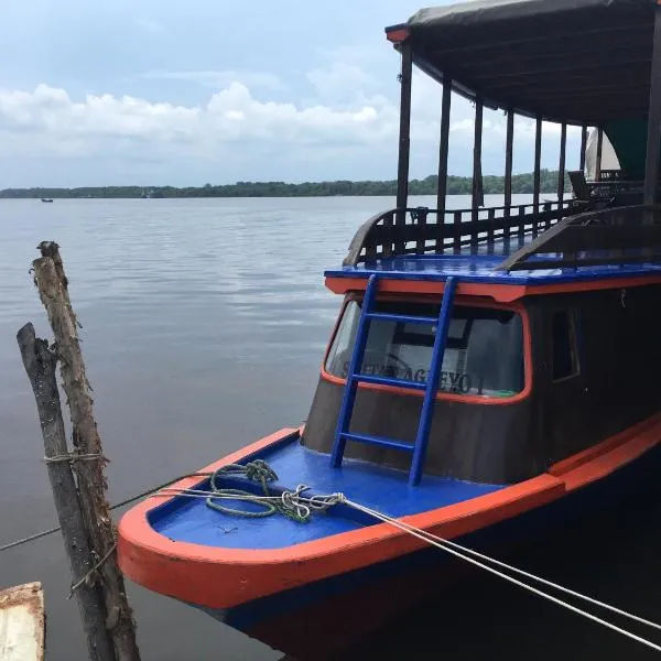 Orangutan Houseboat Park Tanjung Puting, hotel v destinaci Pangkalan Bun